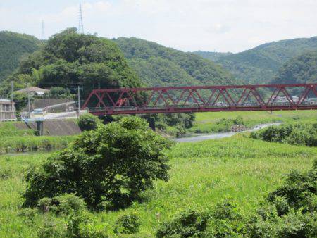 狩野川(狩野川漁業協同組合) 釣果