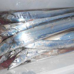 こうゆう丸 釣果