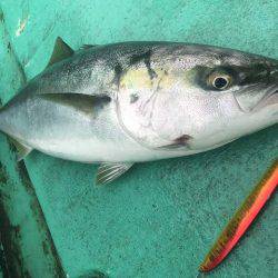 広進丸 釣果
