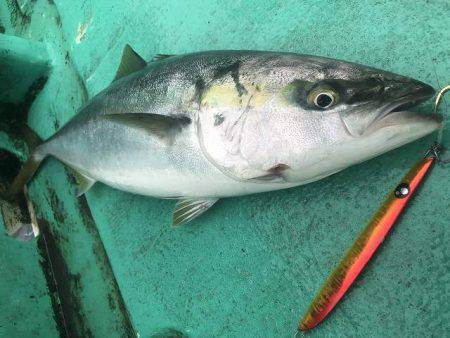 広進丸 釣果