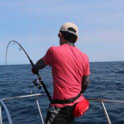 へいみつ丸 釣果