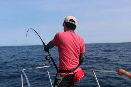 へいみつ丸 釣果