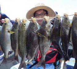 石川丸 釣果