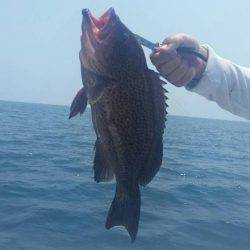 第五慶門丸 釣果