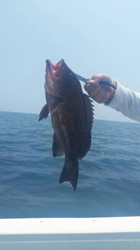 第五慶門丸 釣果