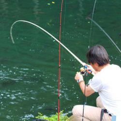 小菅トラウトガーデン 釣果