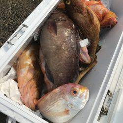 寿裕 （YOSHIHIRO） 釣果