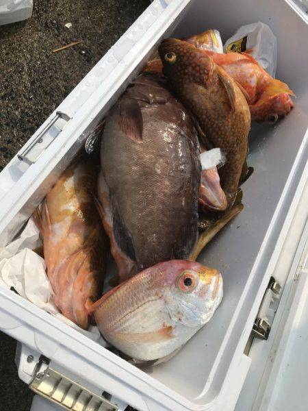 寿裕 （YOSHIHIRO） 釣果