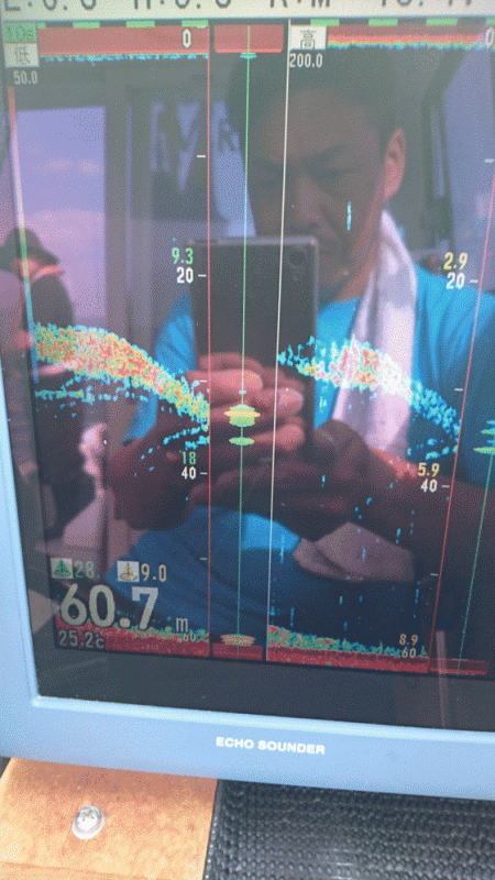 遊漁船ブルーウッズ 釣果