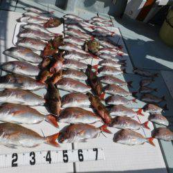 遊漁船 幸友丸 釣果