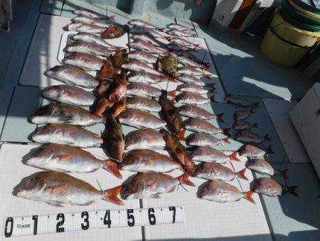 遊漁船 幸友丸 釣果