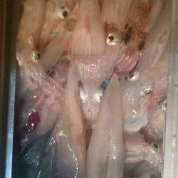 寿裕 （YOSHIHIRO） 釣果