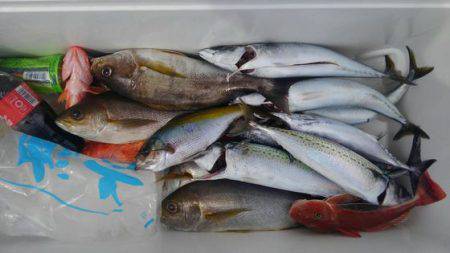 遊漁船 新鋭丸 釣果