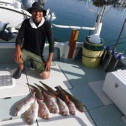 遊漁船 幸友丸 釣果