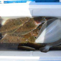 大進丸(新潟) 釣果