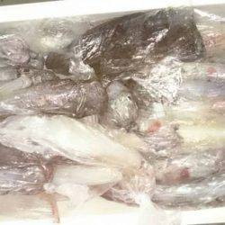 寿裕 （YOSHIHIRO） 釣果