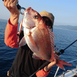 遊漁船ブルーウッズ 釣果