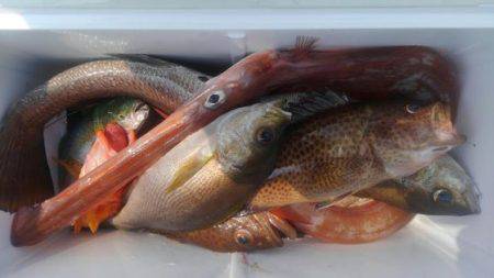 遊漁船 新鋭丸 釣果