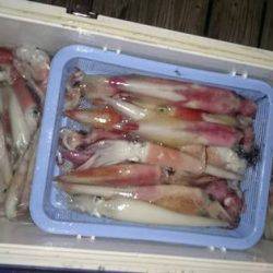 寿裕 （YOSHIHIRO） 釣果