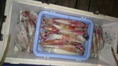 寿裕 （YOSHIHIRO） 釣果