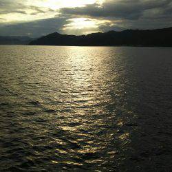 シーラ、ソーダも昼前から