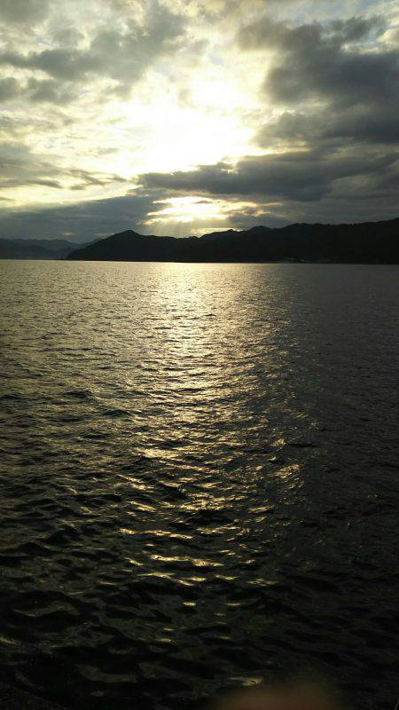 シーラ、ソーダも昼前から