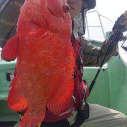 遊漁船 新鋭丸 釣果