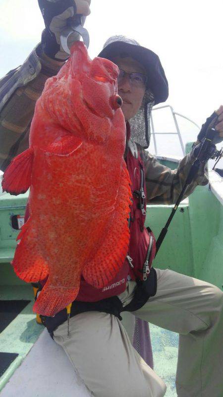 遊漁船 新鋭丸 釣果