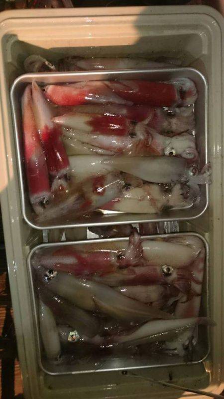 寿裕 （YOSHIHIRO） 釣果