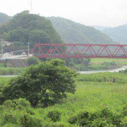 狩野川(狩野川漁業協同組合) 釣果