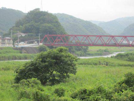 狩野川（狩野川漁業協同組合） 釣果