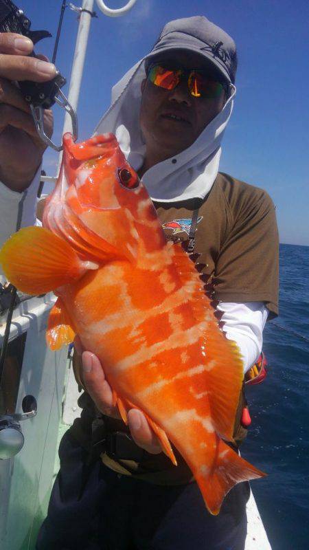 遊漁船 新鋭丸 釣果