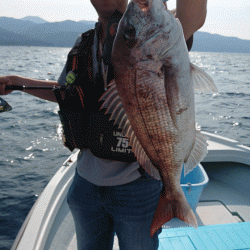 遊漁船ブルーウッズ 釣果