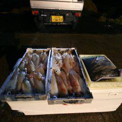 オーシャンズ　京都 釣果