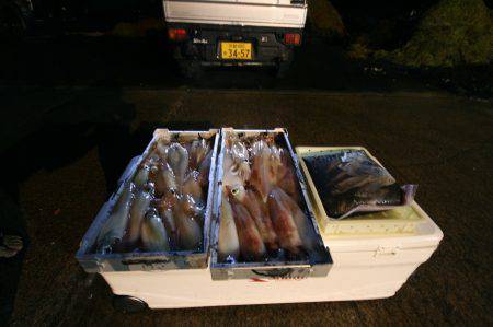 オーシャンズ　京都 釣果