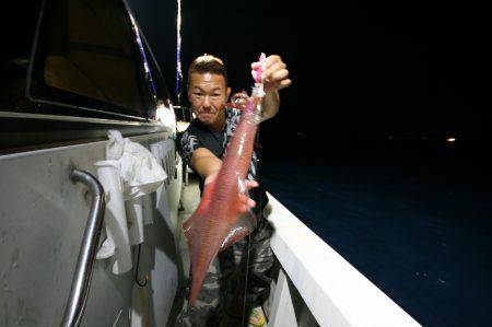 オーシャンズ　京都 釣果