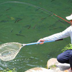 小菅トラウトガーデン 釣果