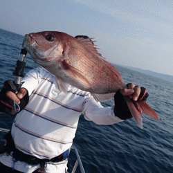 遊漁船ブルーウッズ 釣果