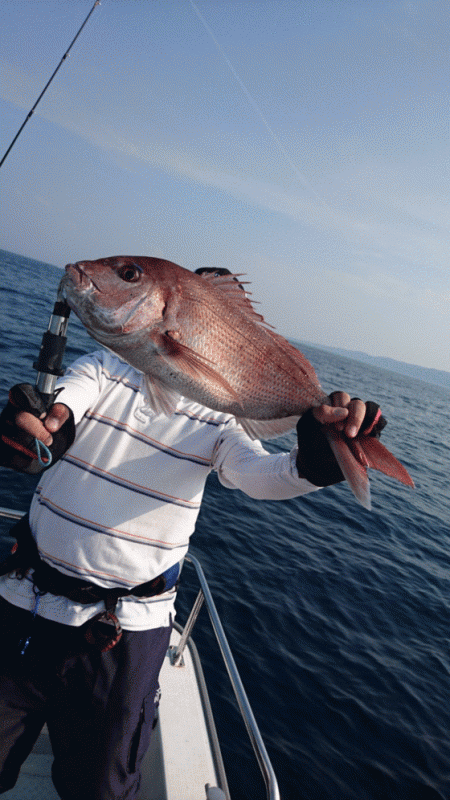 遊漁船ブルーウッズ 釣果