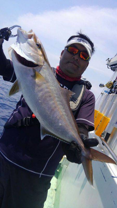 遊漁船 新鋭丸 釣果