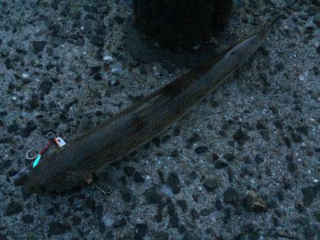 お手軽ショアスロー