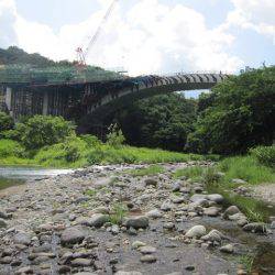 狩野川(狩野川漁業協同組合) 釣果