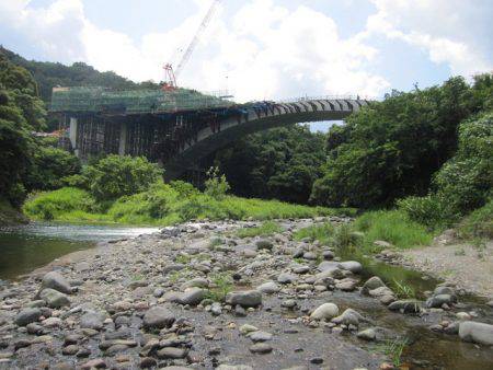 狩野川(狩野川漁業協同組合) 釣果