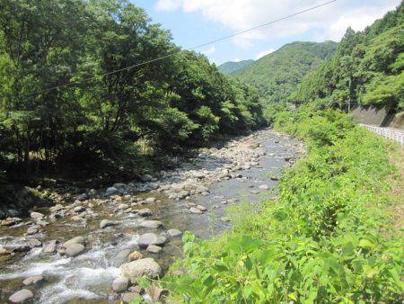 狩野川(狩野川漁業協同組合) 釣果