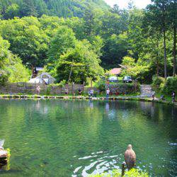 小菅トラウトガーデン 釣果