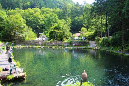 小菅トラウトガーデン 釣果