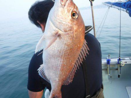 遊漁船 幸友丸 釣果