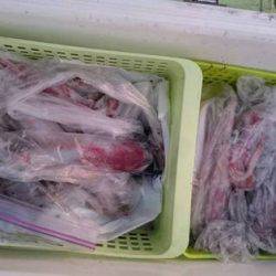 寿裕 （YOSHIHIRO） 釣果