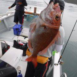 遊漁船 幸友丸 釣果