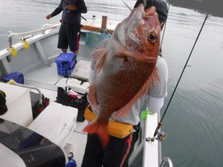 遊漁船 幸友丸 釣果